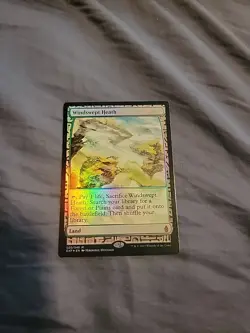 Windswept Heath - Foil English MTG Zendikar Expeditions - Image 1