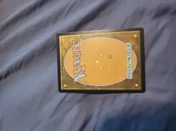 Windswept Heath - Foil English MTG Zendikar Expeditions - Image 2