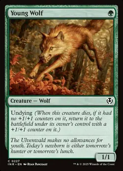 Young Wolf - Foil, Innistrad Remastered, Near Mint x 1 MTG - Image 1