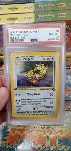 Pokemon 1999 1st Edition Jungle Pidgeot Holo ? 8/64 PSA 8 Near Mint-Mint! - Image 5
