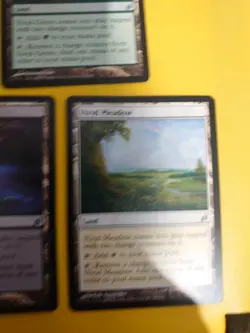Vivad Land MTG 5 Card. Lorwyn. Meadow,Marsh,Creek,Crag. Vivid Grove. - Image 2