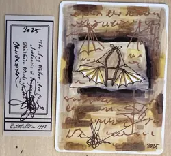 MTG ARTIST PROOF Antiquities Ornithopter AP Sketch Art Amy WEBER Magic - Image 1