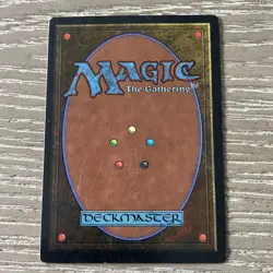 Sunastian Falconer MTG Legends Signed by Artist Christopher Rush Vintage Rare - Image 2