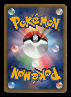 LP - Pokemon Japanese World Hobby Fair Zoroark 024/BW-P Promo - Image 2