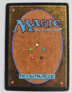 Whirling Dervish Legends Regular MP Moderately Played MTG - Image 3