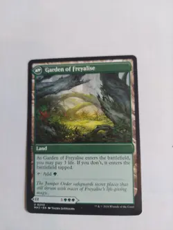 Disciple of Freyalise Modern Horizons 3 Regular - Image 1