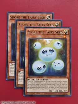 Yugioh Ancient Fairy Life Dragon Deck Core 33 cards ALIN World of Spirits Luna - Image 5