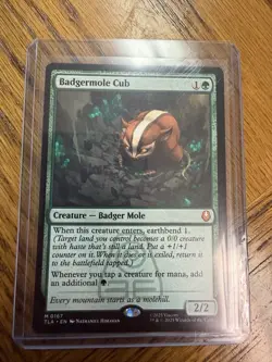 Magic The Gathering - Avatar: The Last Airbender-Badgermole Cub Mythic Non-Foil - Image 1