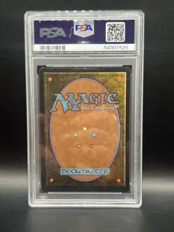 PSA 8 Fishliver Oil Dark Mtg Arabian Nights 1993 - Image 2