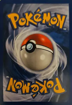 Pokemon TCG Misty's Seadra PRERELEASE HOLO Promo Pokemon Promos 9/132 Holo Promo - Image 2