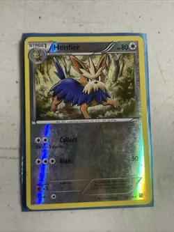 Pokemon TCG Herdier Black and White 82/114 Reverse Holo Uncommon - Image 1
