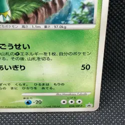 Grotle 2007 Meiji Rare Japanese Pokemon Promo Card Nintendo From Japan F/S - Image 3