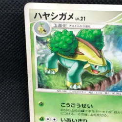 Grotle 2007 Meiji Rare Japanese Pokemon Promo Card Nintendo From Japan F/S - Image 5