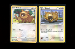 Pokemon Bidoof Bibarel DP, Dragons Exalted, XY Primal Clash,SM 10 + 1 all shown - Image 2