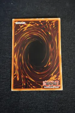 Salamandra (Dark Duel Stories) DDS-006 Yu-Gi-Oh! LP - Image 2