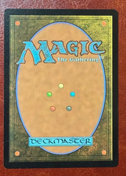 1x NM BORDERLESS Windswept Heath - 0466 R MH3 - MTG Magic Never Played x1 - Image 2