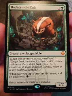 Badgermole Cub MTG Magic The Gathering Avatar (0167) NM - Image 1
