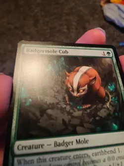Badgermole Cub MTG Magic The Gathering Avatar (0167) NM - Image 2