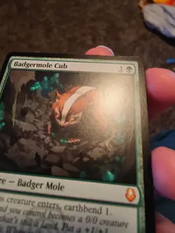 Badgermole Cub MTG Magic The Gathering Avatar (0167) NM - Image 4