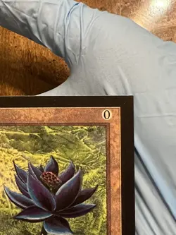 MTG Collectors Edition Black Lotus 1993 CE/IE - Image 2