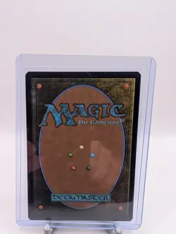 Abandoned Air Temple [Foil] #263 Magic Avatar: The Last Airbender - Image 2