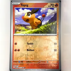 Tepig 011/086 C Miscellaneous Cards & Products English reverse holo - Image 1