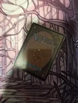 Brain Freeze - HALO FOIL - Secret Lair - An Encyclopedia of Magic MTG - 0029 - Image 2