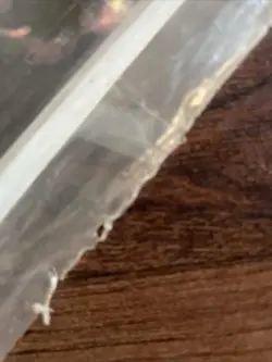 DUELIST MAGAZINE 3 1994 Fall Factory Sealed Magic The Gathering Jyhad Deckmaster - Image 3