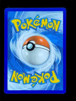 N's Zoroark ex 185 Pokemon Journey Together JTG 2025 NM 🔥🔥🔥 - Image 2