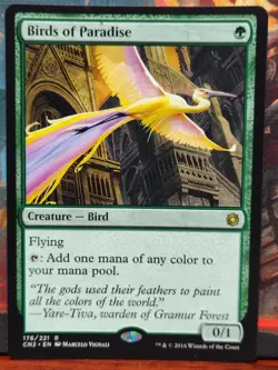 MTG Birds of Paradise - Conspiracy: Take the Crown 176/221. NM - Image 1