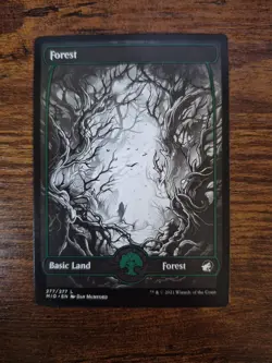 Lot of 6 Full Art Forests Magic the Gathering (Various) ONE FOIL - Image 1