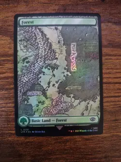 Lot of 6 Full Art Forests Magic the Gathering (Various) ONE FOIL - Image 2