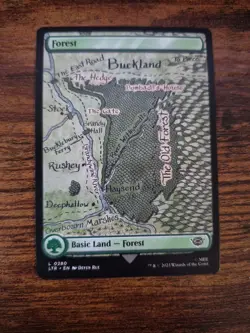 Lot of 6 Full Art Forests Magic the Gathering (Various) ONE FOIL - Image 3