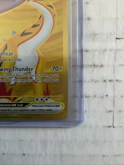 Pokemon TCG Raging Bolt EX Hyper Rare Temporal Forces 218/162 - Image 5