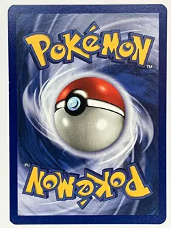 Kabuto NM 50/62 1st Edition Fossil Pokemon TCG Regular - Image 2