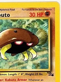 Kabuto NM 50/62 1st Edition Fossil Pokemon TCG Regular - Image 4
