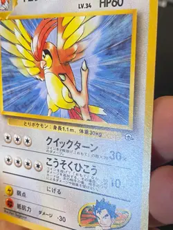 JAPANESE POKEMON KOGA'S PIDGEOTTO No.017 RARE GYM CHALLENGE ROUCOUPS - VG - Image 5