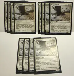 Tempest Hawk Tarkir: Dragonstorm Regular Playset - Image 1