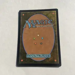L 0262 Plains BORDERLESS Full Art Land Edge of Eternities EOE MTG Card - Image 2