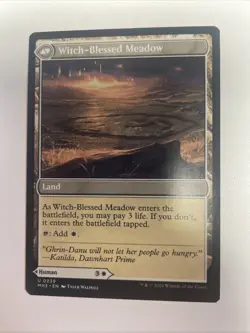 Witch Enchanter Modern Horizons 3 Non Foil NM Free Shipping - Image 4