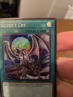 Silver’s Cry LCKC-EN034 Unlimited Secret Rare Near Mint +Bonus FREE SHIPPING! - Image 4
