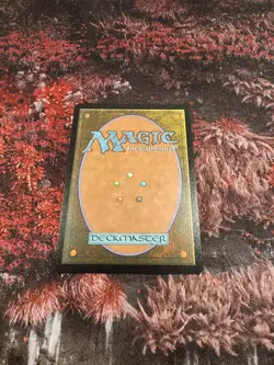 Locke Treasure Hunter Borderless Chocobo Track Foil Final Fantasy Mtg - Image 2