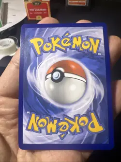 Pokemon TCG Terapagos EX Card 173/142 Stellar Crown Holo - Image 2