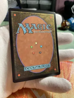 Wasteland-MTG Secret Lair Encyclopedia Of Magic- Non Foil- NM 🍷 - Image 2
