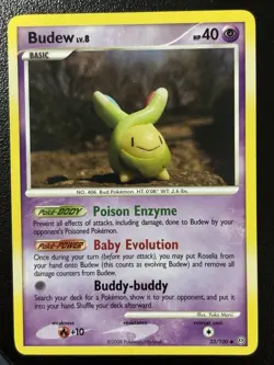 Pokemon TCG - Budew (33/100) Stormfront - Regular Rare - LP - Image 1