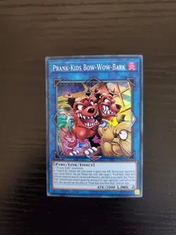 Prank-Kids Bow-Wow-Bark - Yugioh Hidden Summoners 1st Ed - HISU-EN021 - Image 1