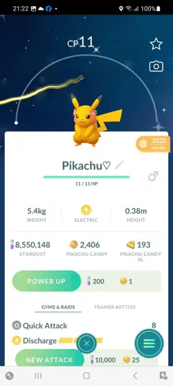 Pokemon Go Shiny Pikachu Flowers ( Stage 1 ) - Image 1