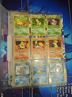 Pokemon Neo Genesis Complete Japanese Premium File - Image 2
