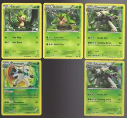 Pokemon Chespin Quilladin Chesnaught XY Base Kalos Starter Set 11 Card Lot Holo - Image 1