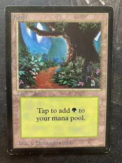 *** BETA Forest (B Path) *** LP - DUTY FREE - Magic MtG - Image 1